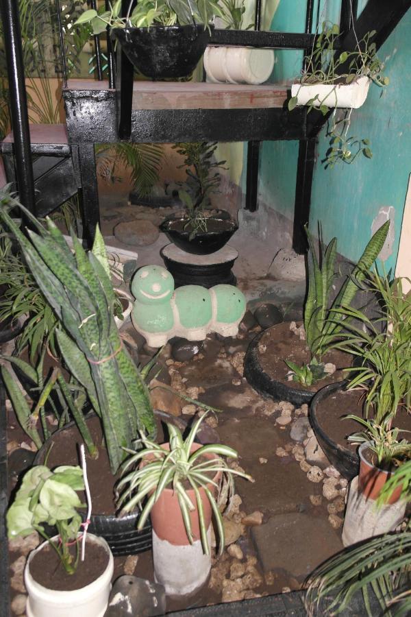 Hostal Nicaragua Guest House Managua Exterior photo